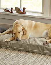 orvis round dog bed