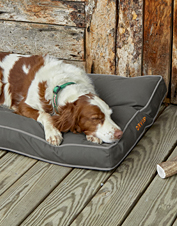 orvis chew proof dog bed