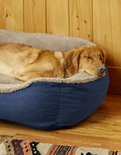 orvis chew proof dog bed