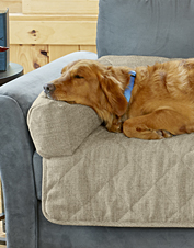 Dogs in the House - Dog Sofa Covers & Furniture Protectors