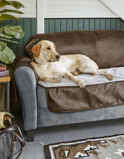 leather couch covers for dogs