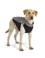 orvis reflective dog collar