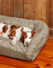 orvis chew proof dog beds